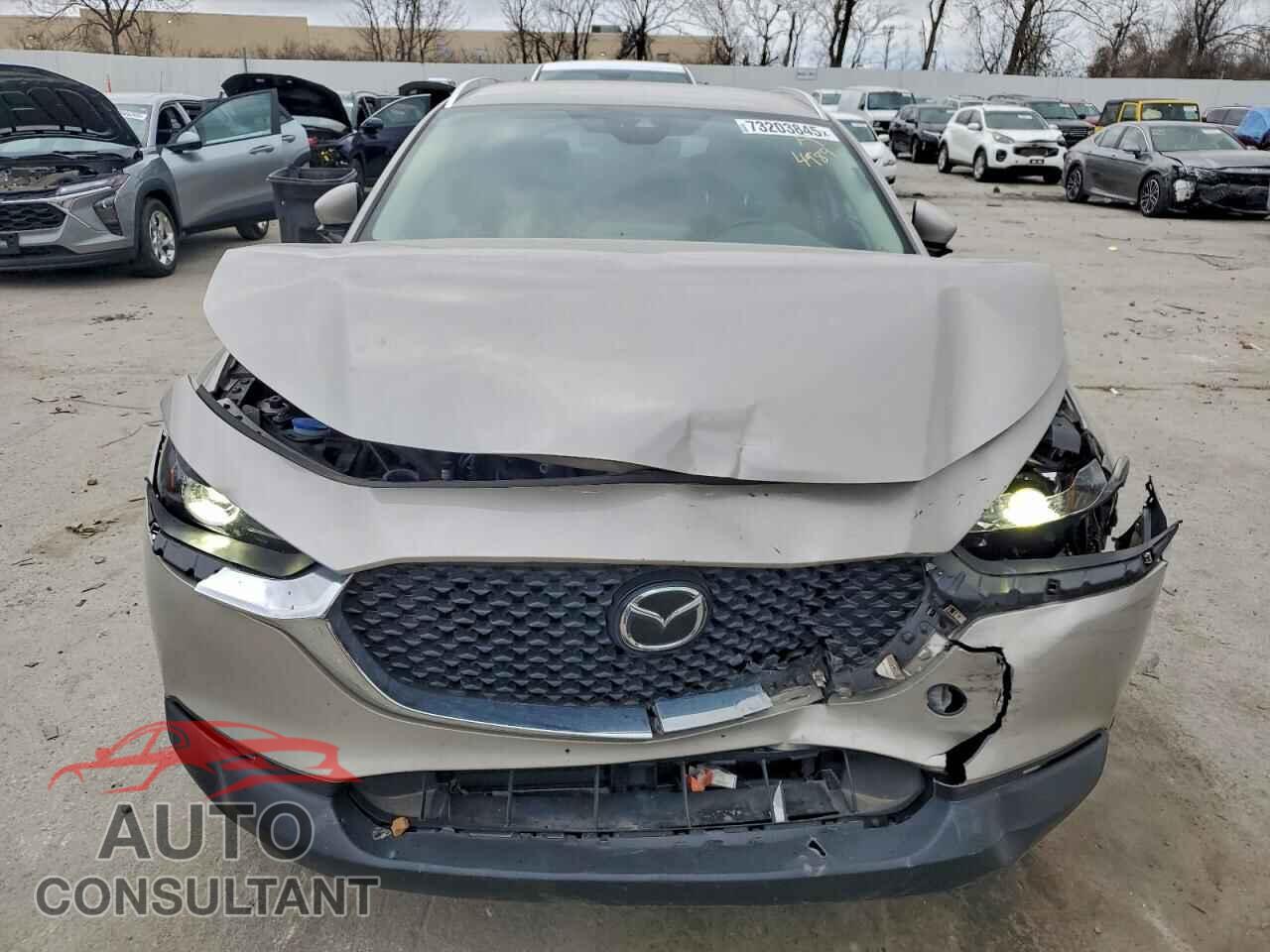 MAZDA CX30 2023 - 3MVDMBBM2PM544989
