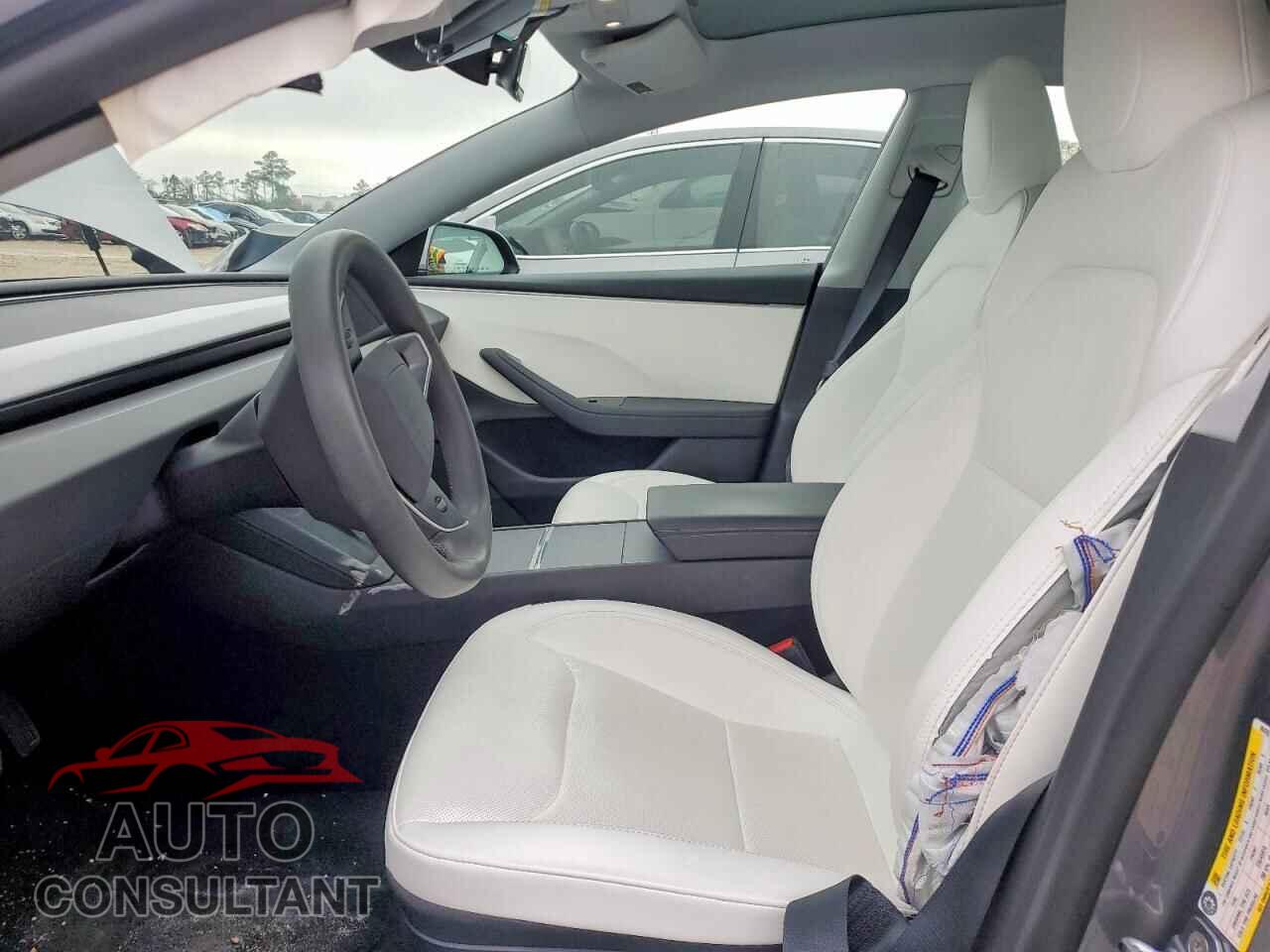 TESLA MODEL 3 2024 - 5YJ3E1EA7RF868307