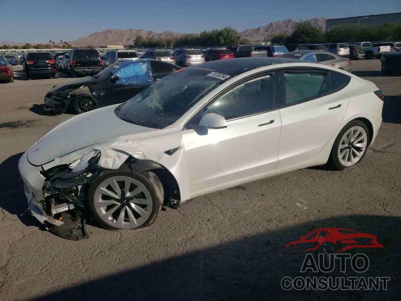 TESLA MODEL 3 2022 - 5YJ3E1EA4NF257743