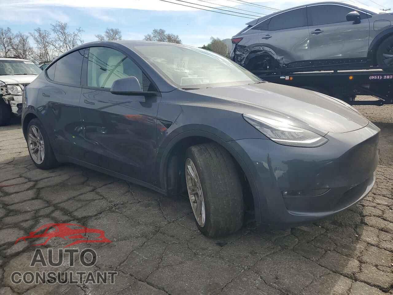 TESLA MODEL Y 2023 - 7SAYGDEE3PF605039
