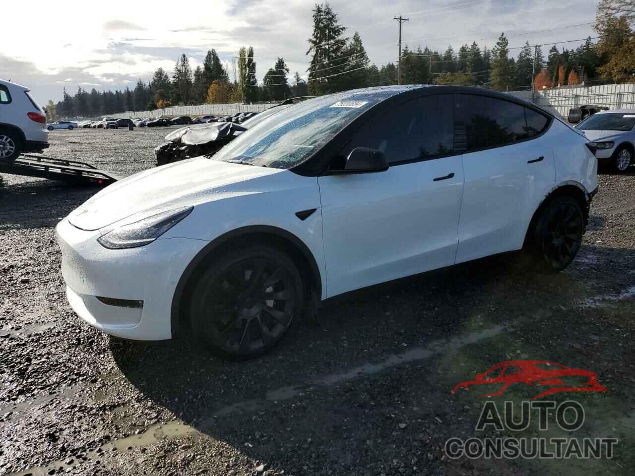 TESLA MODEL Y 2022 - 7SAYGDEE0NF341498