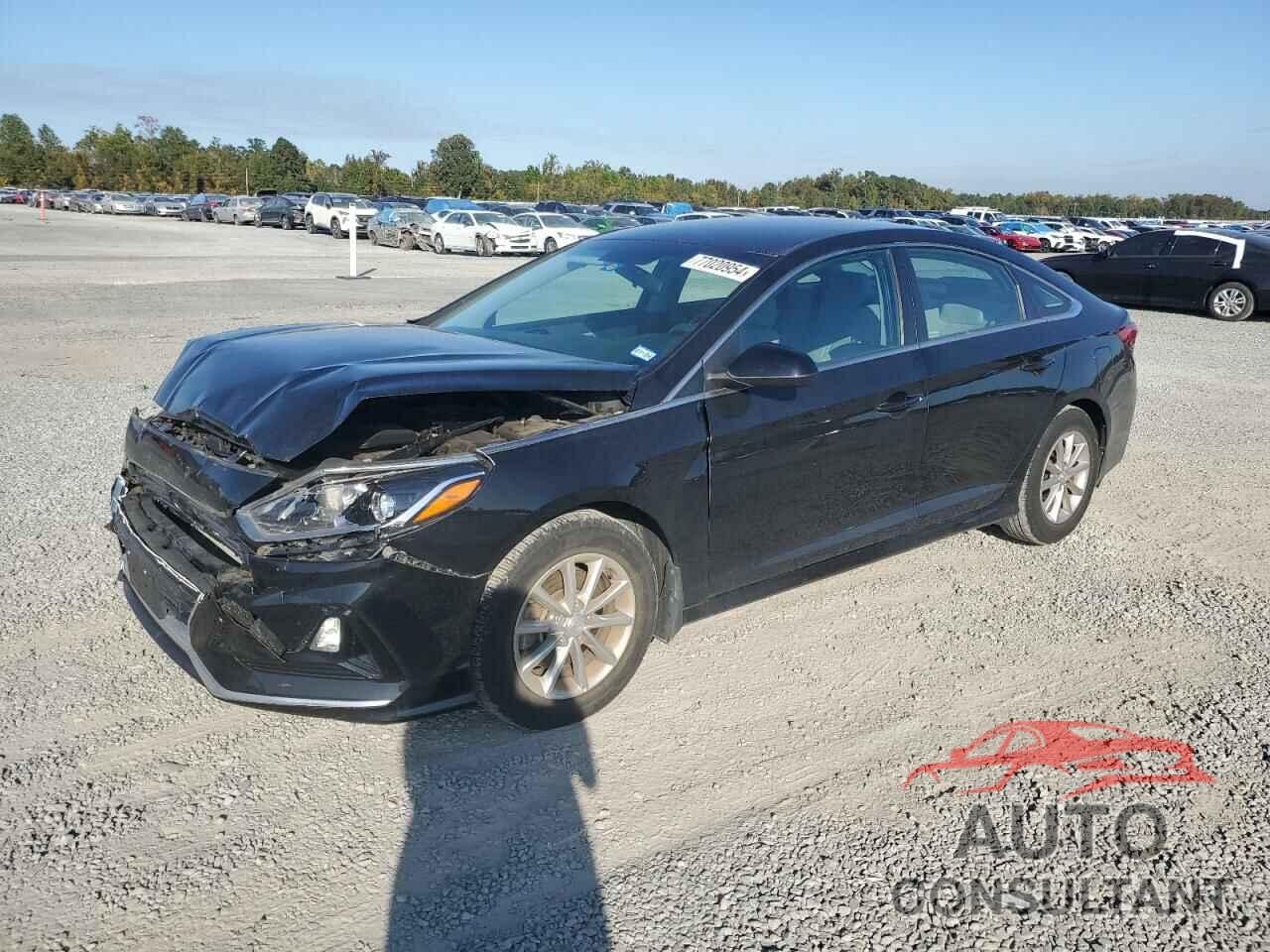 HYUNDAI SONATA 2019 - 5NPE24AF1KH809703