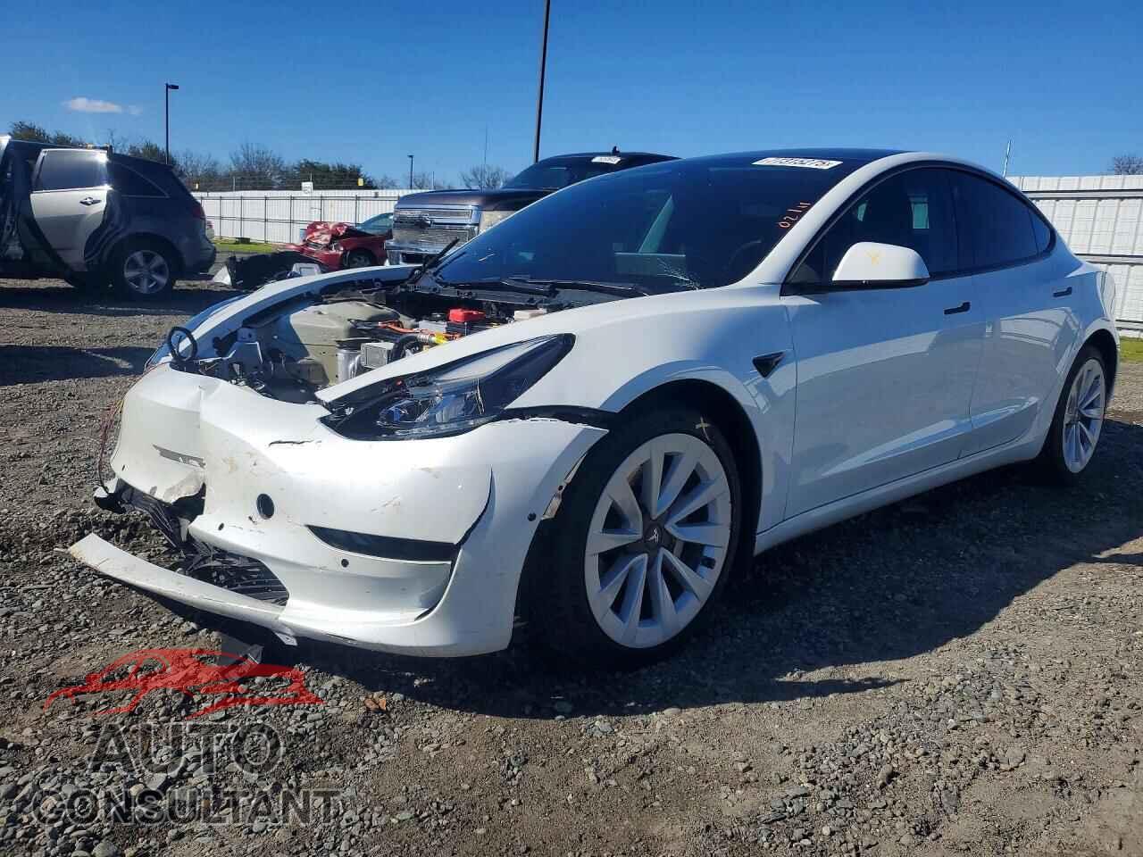 TESLA MODEL 3 2021 - 5YJ3E1EA3MF069049