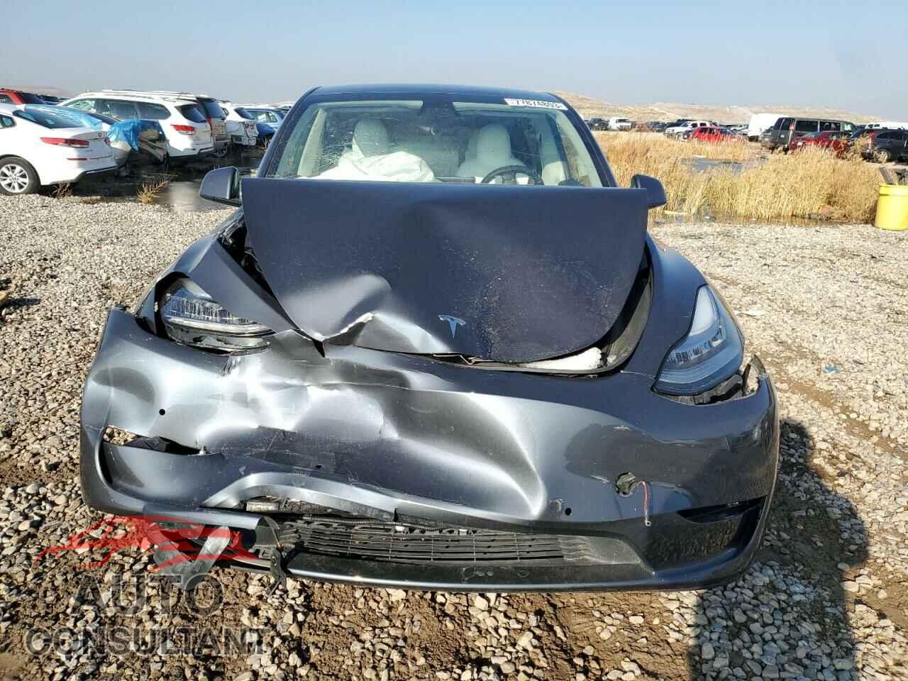 TESLA MODEL Y 2022 - 7SAYGAEE8NF397980