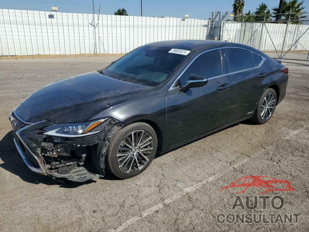 LEXUS ES300 2022 - 58ADA1C19NU026030