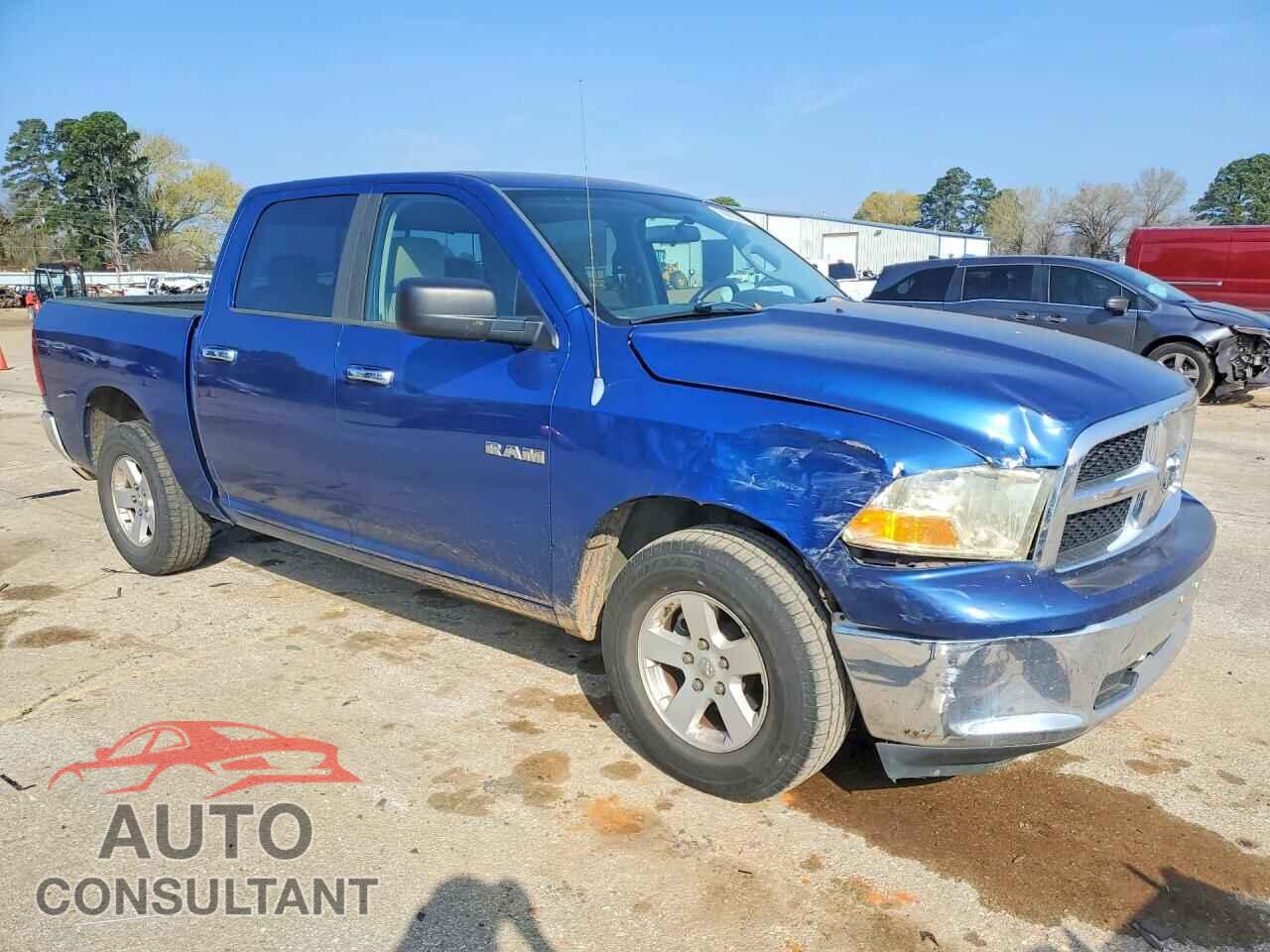 DODGE RAM 1500 2009 - 1D3HB13P19S701568