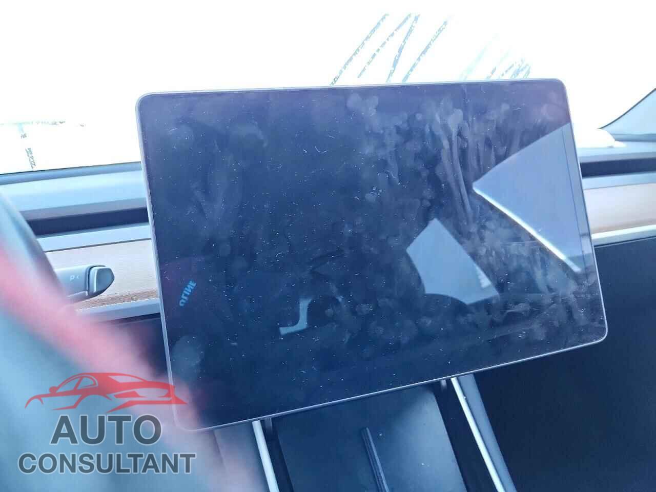 TESLA MODEL 3 2019 - 5YJ3E1EA5KF308095