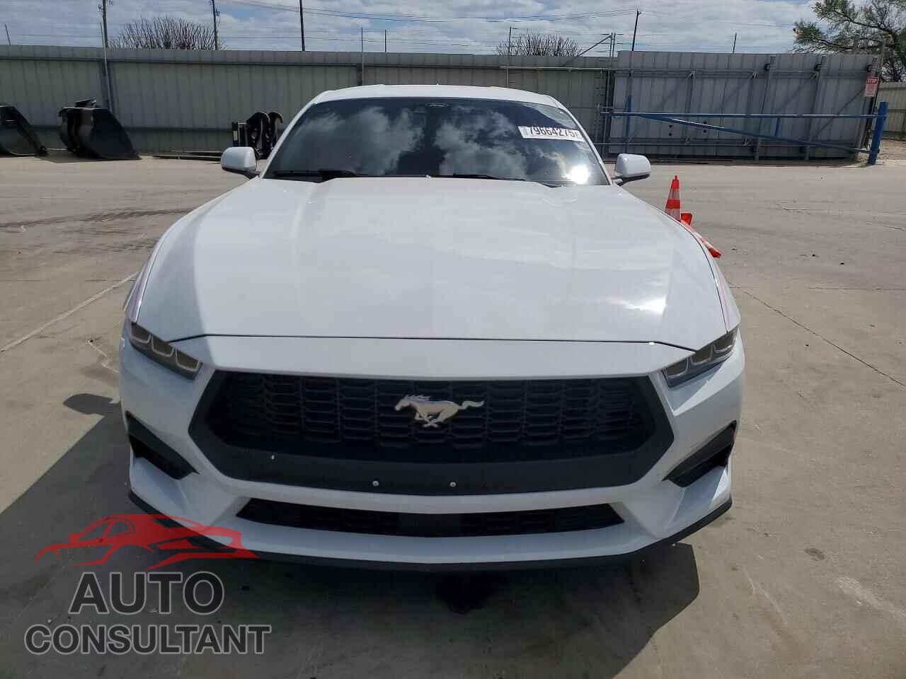 FORD MUSTANG 2024 - 1FA6P8TH2R5123200