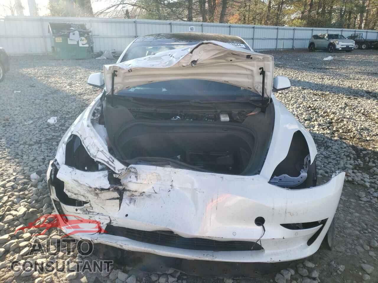 TESLA MODEL 3 2021 - 5YJ3E1EA8MF923145