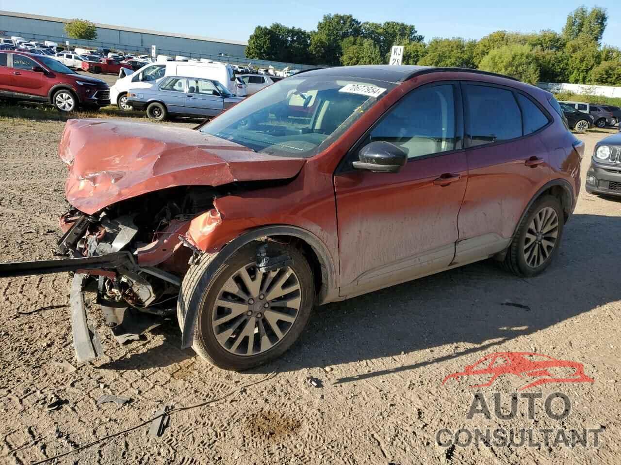 FORD ESCAPE 2020 - 1FMCU9BZ6LUA53277