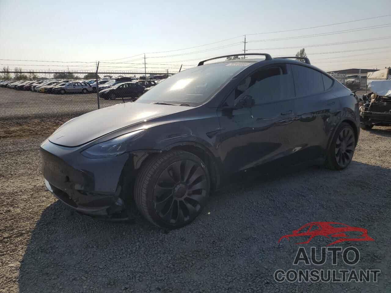 TESLA MODEL Y 2024 - 7SAYGDEF8RF053405