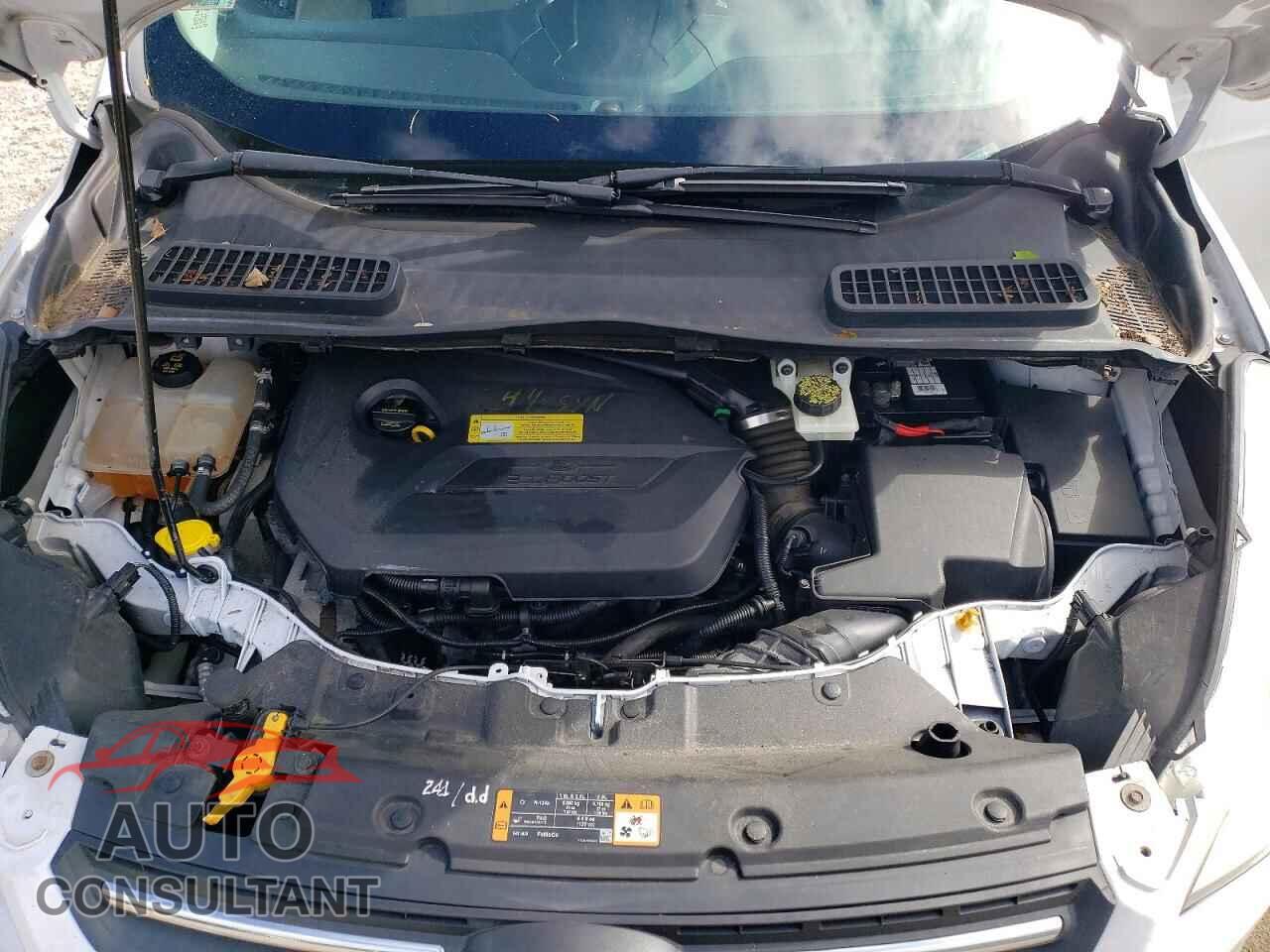 FORD ESCAPE 2014 - 1FMCU0GX3EUB85533