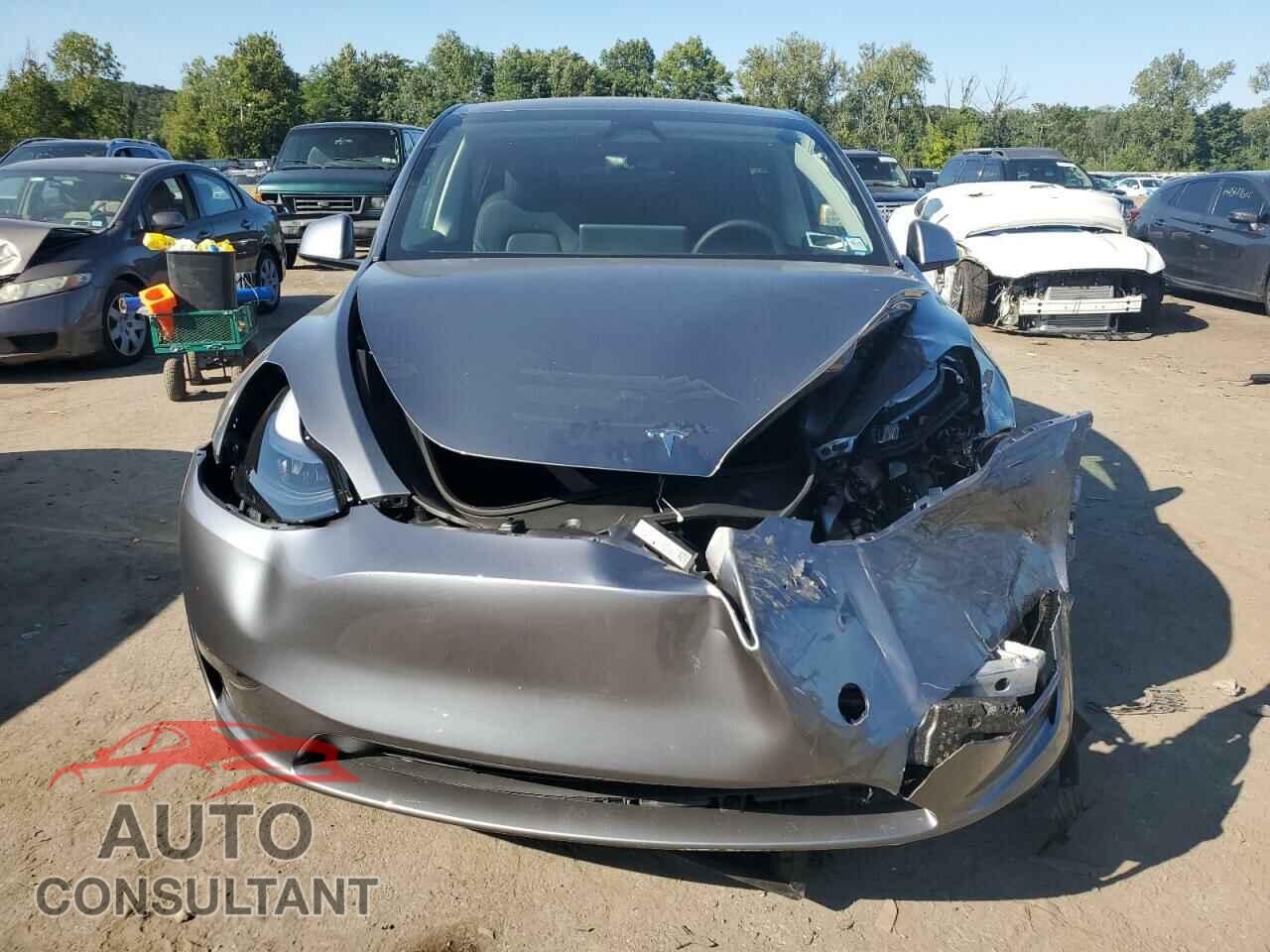 TESLA MODEL Y 2024 - 7SAYGAEE9RF109602