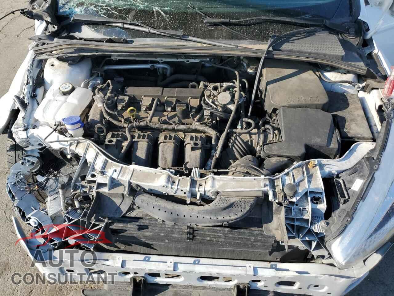 FORD FOCUS 2016 - 1FADP3F25GL384136