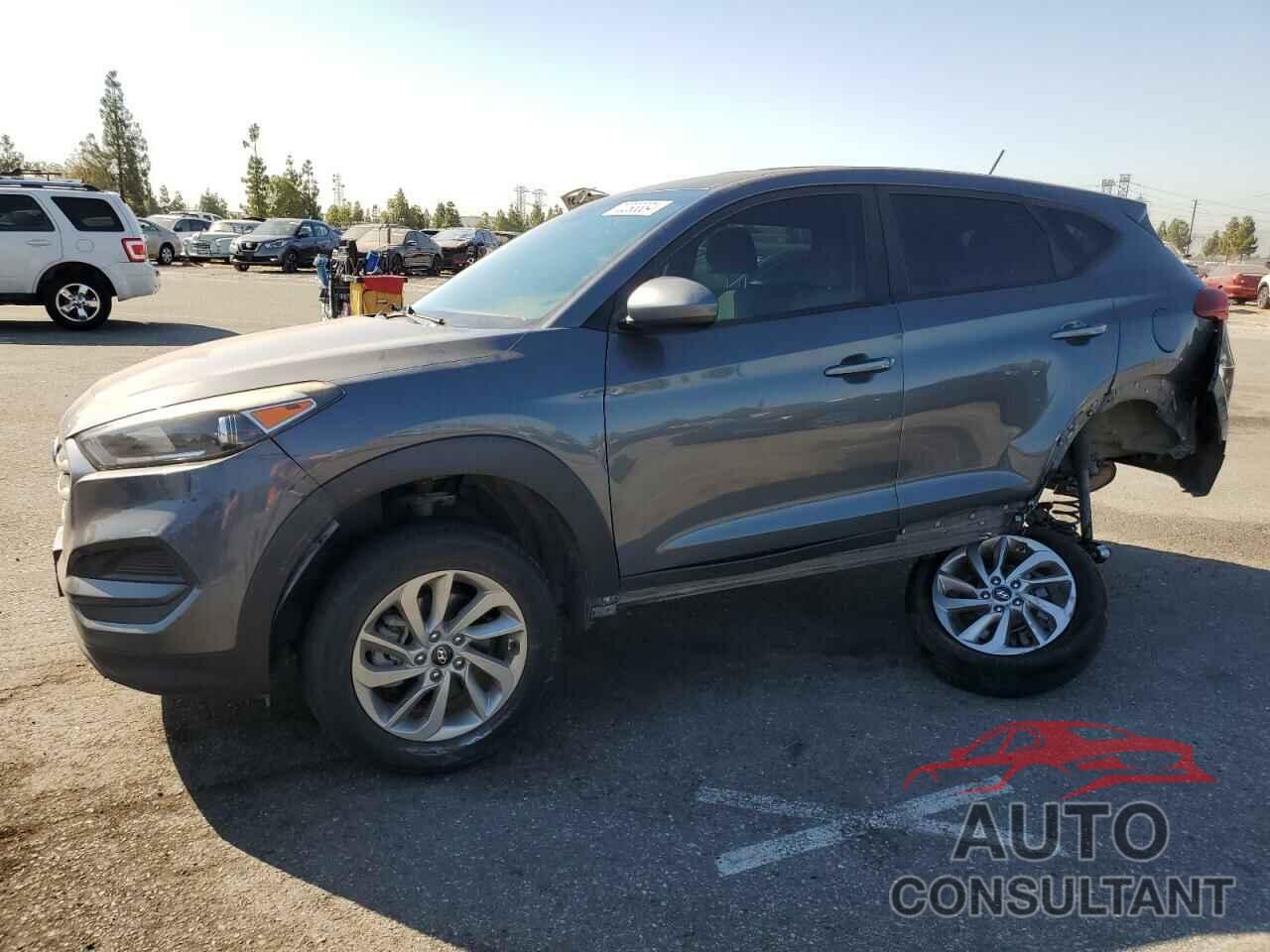 HYUNDAI TUCSON 2017 - KM8J23A49HU488172