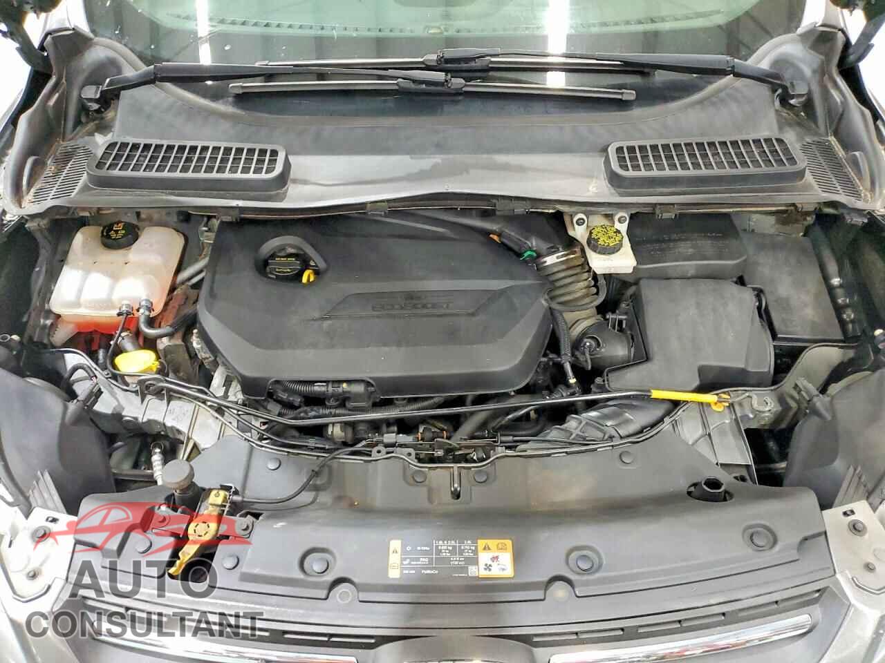 FORD ESCAPE 2014 - 1FMCU9GX9EUC97046
