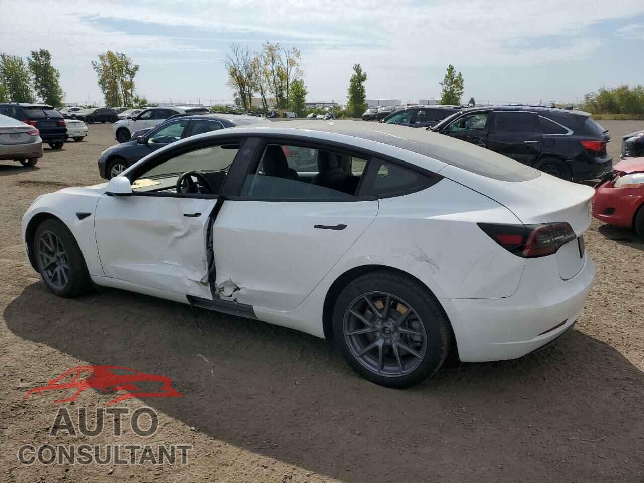TESLA MODEL 3 2023 - LRW3E1FA2PC872321