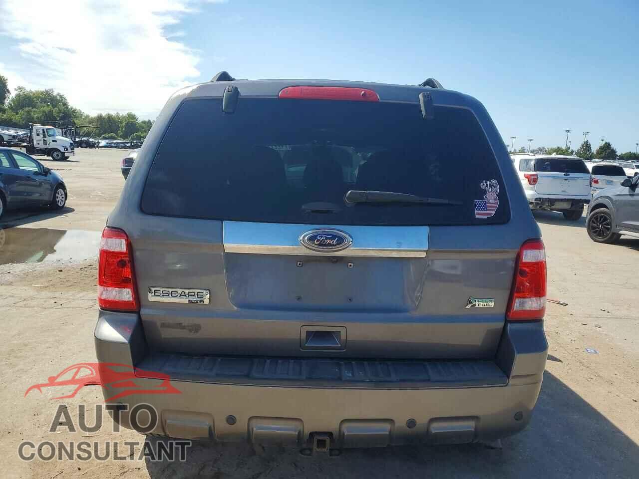 FORD ESCAPE 2011 - 1FMCU9EG1BKA81346