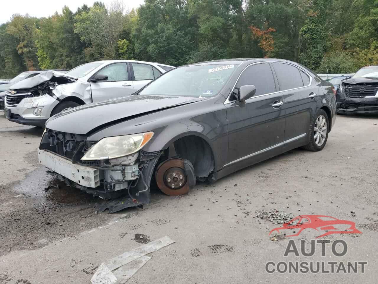 LEXUS LS460 2009 - JTHCL46F695004169