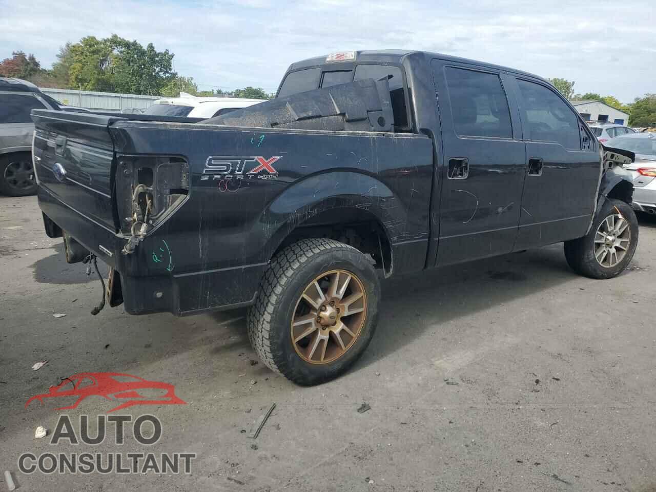 FORD F-150 2014 - 1FTFW1EF2EFC81394