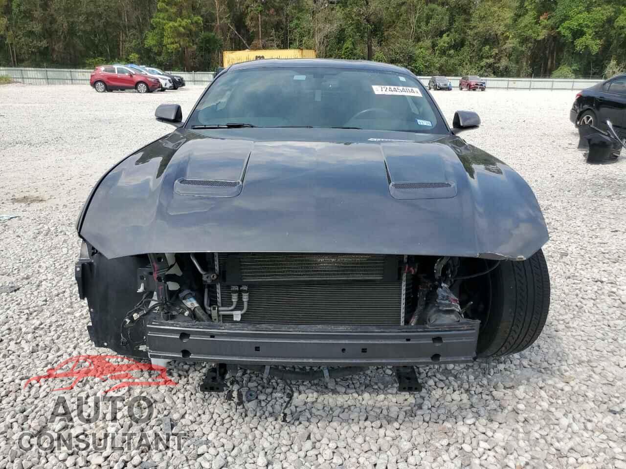 FORD MUSTANG 2019 - 1FA6P8CF8K5189545