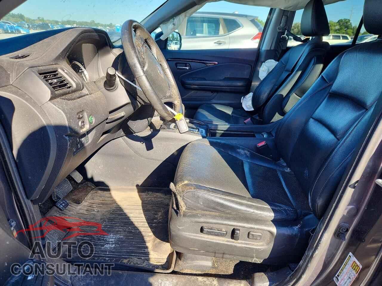 HONDA RIDGELINE 2019 - 5FPYK3F71KB005027
