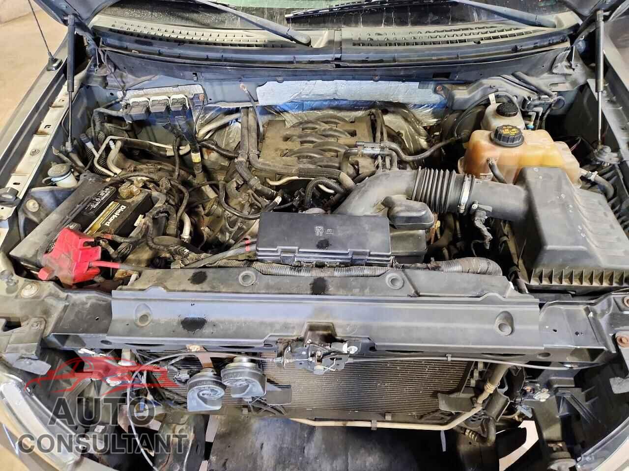 FORD F150 2011 - 1FTFX1EF8BFA08081