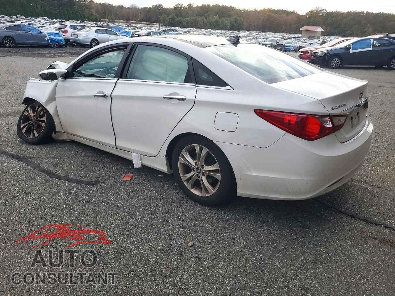 HYUNDAI SONATA 2013 - 5NPEC4AC2DH596475