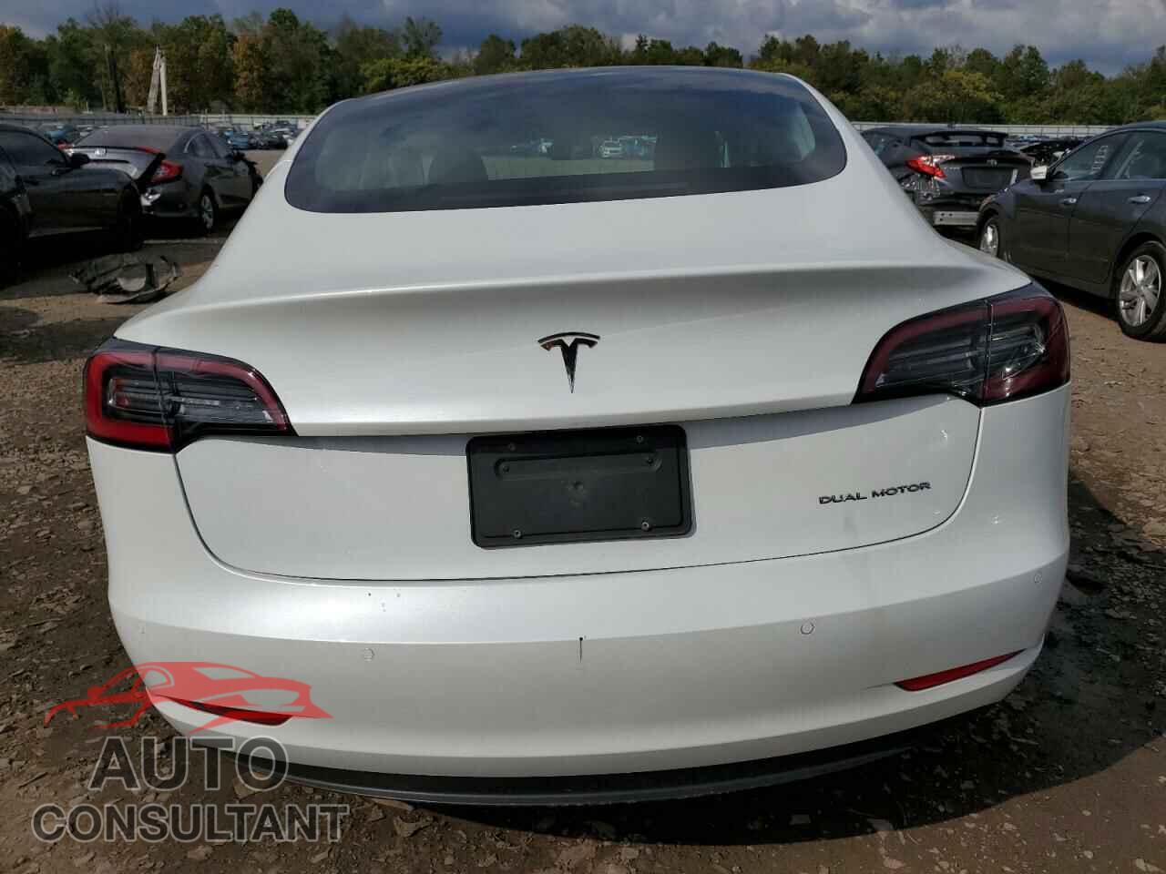 TESLA MODEL 3 2020 - 5YJ3E1EB8LF667368