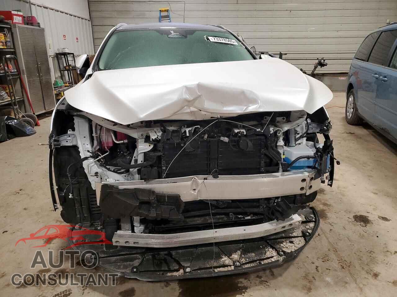 LEXUS RX 350H BA 2025 - 2T2BBMCA3SC087475