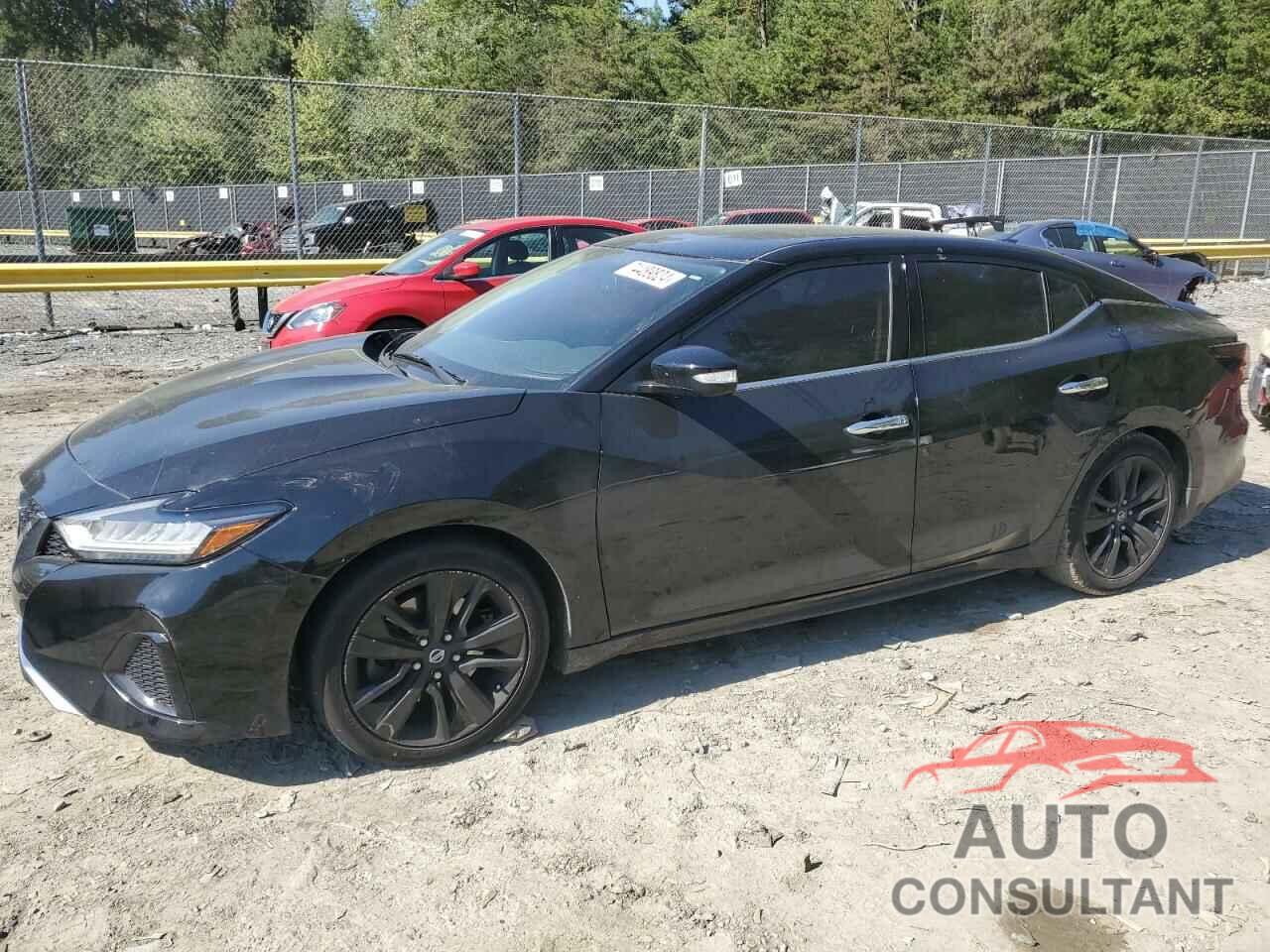 NISSAN MAXIMA 2019 - 1N4AA6AV5KC384167