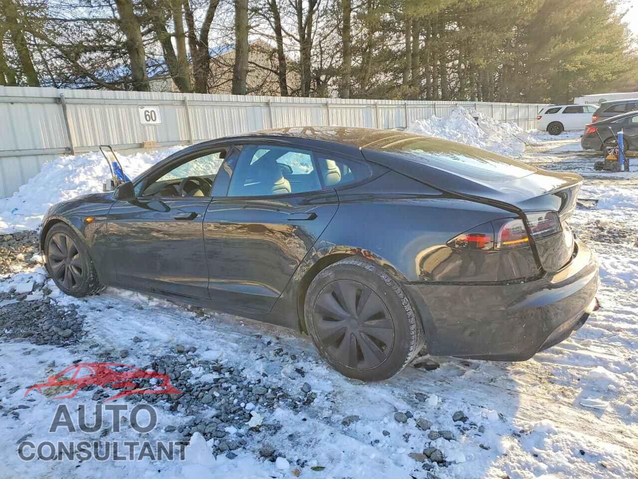 TESLA MODEL S 2023 - 5YJSA1E53PF506899