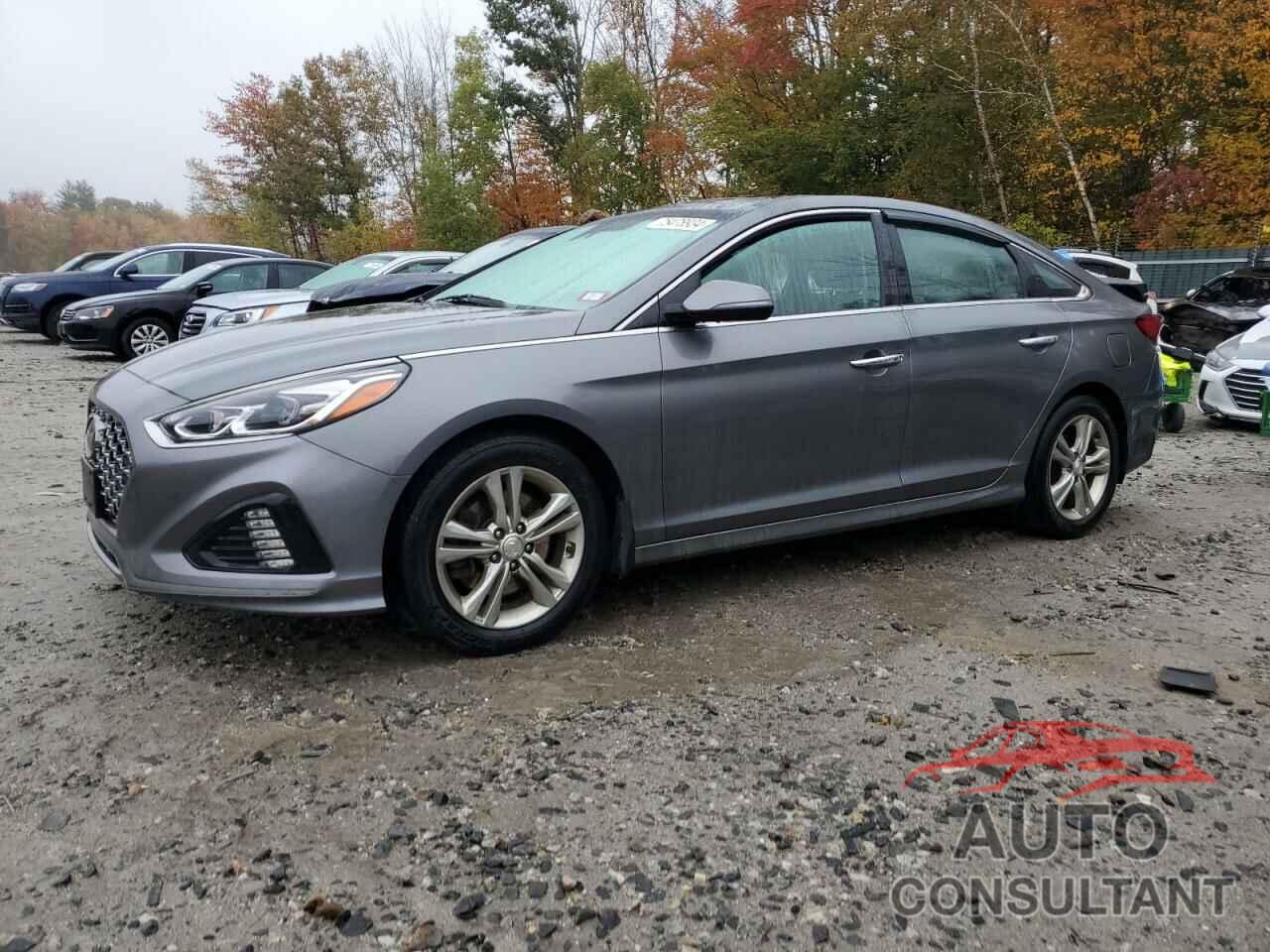 HYUNDAI SONATA 2019 - 5NPE34AF9KH790119