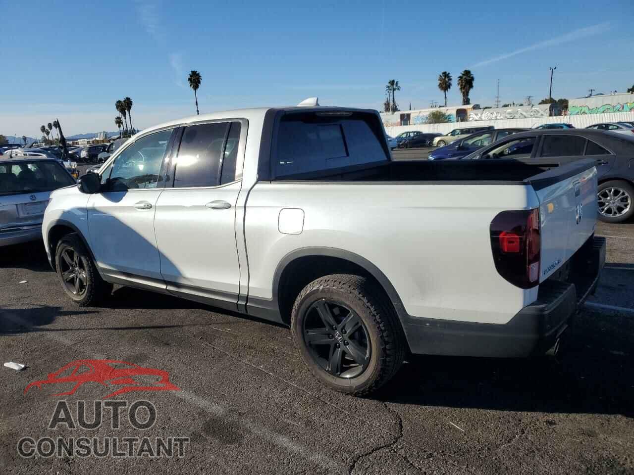 HONDA RIDGELINE 2023 - 5FPYK3F82PB020622