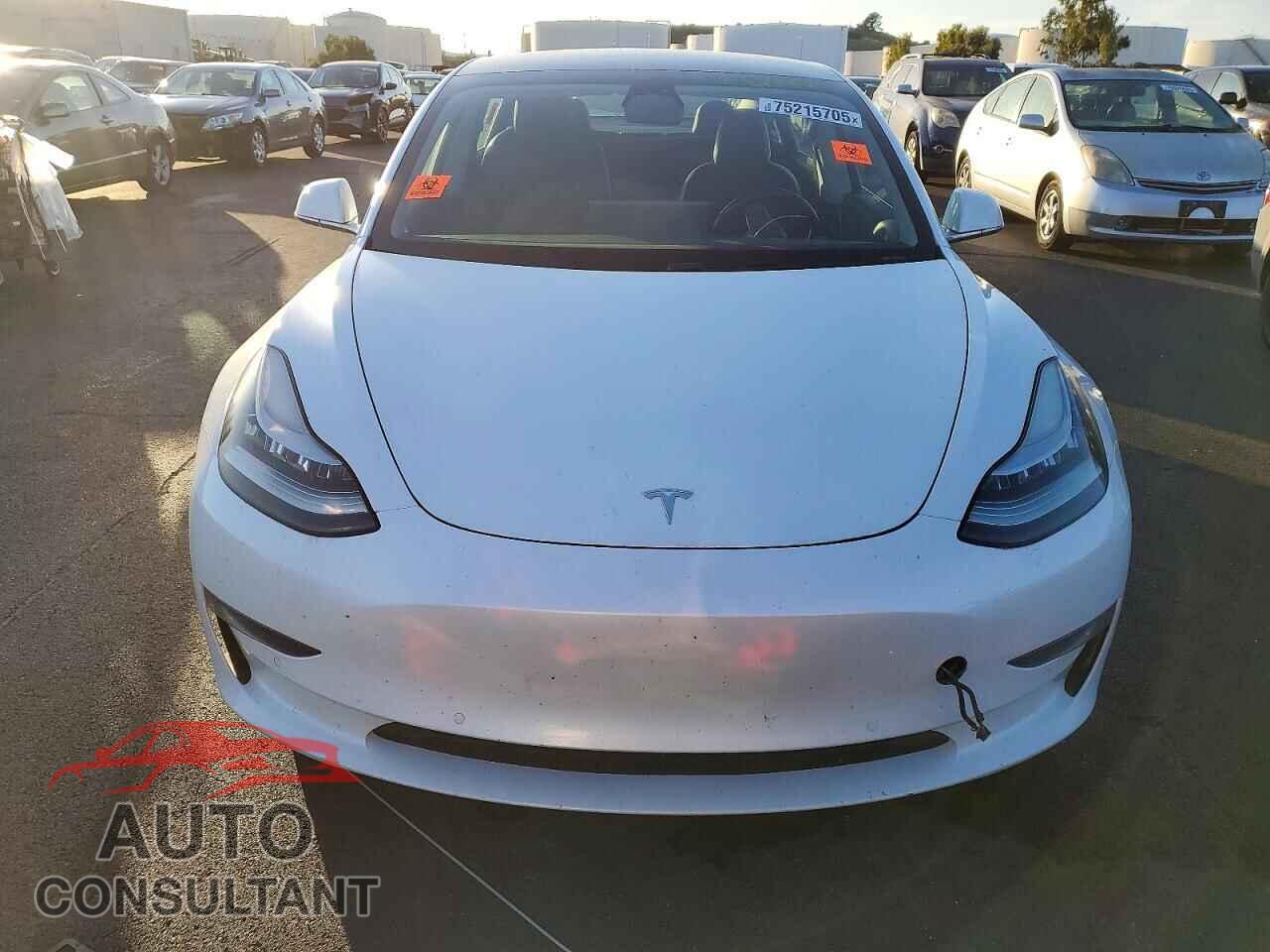 TESLA MODEL 3 2019 - 5YJ3E1EA3KF412911