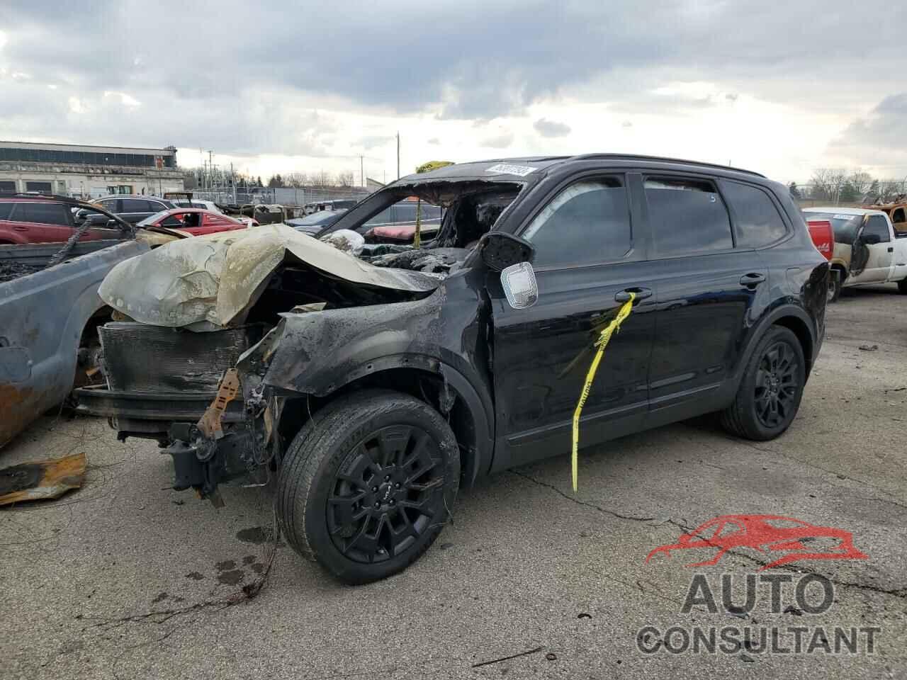 KIA TELLURIDE 2022 - 5XYP5DHC3NG202807