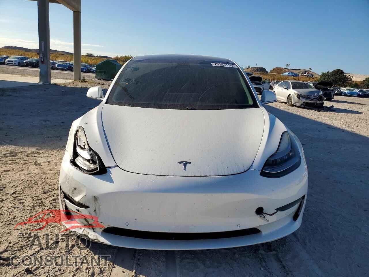 TESLA MODEL 3 2019 - 5YJ3E1EA1KF311737