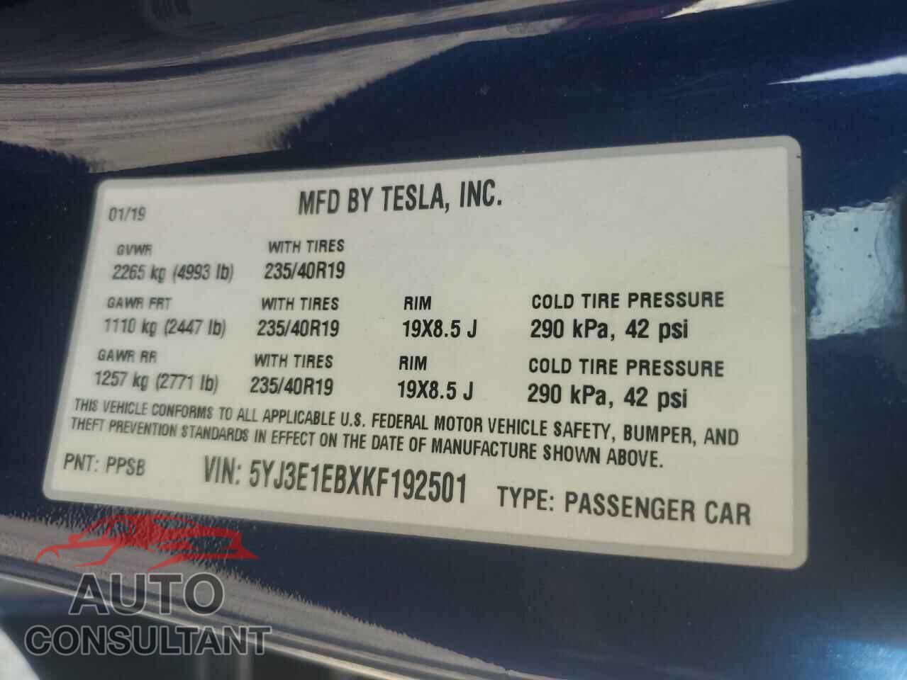 TESLA MODEL 3 2019 - 5YJ3E1EBXKF192501