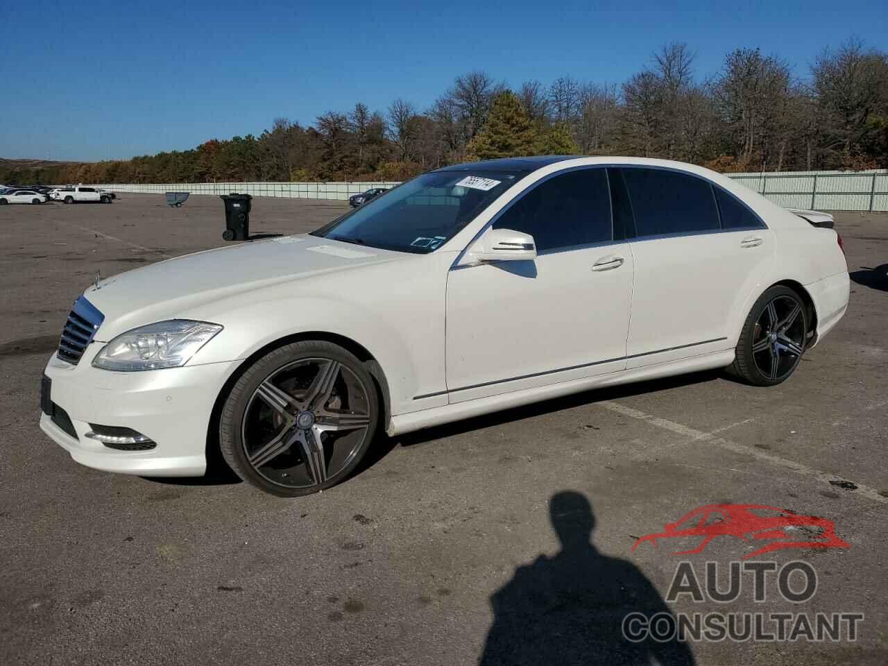 MERCEDES-BENZ S-CLASS 2010 - WDDNG8GB1AA337804