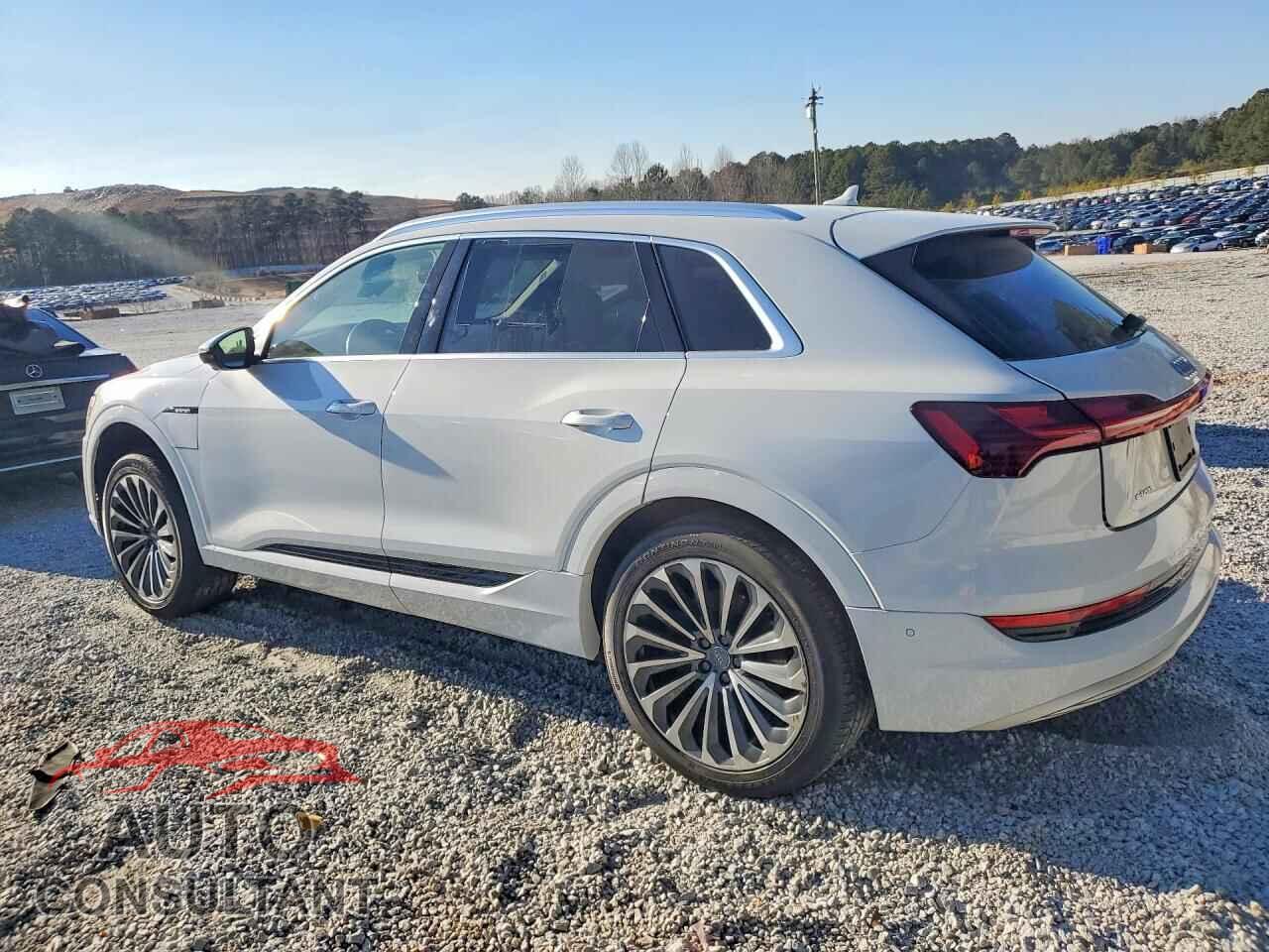 AUDI E-TRON 2019 - WA1VAAGE9KB022851