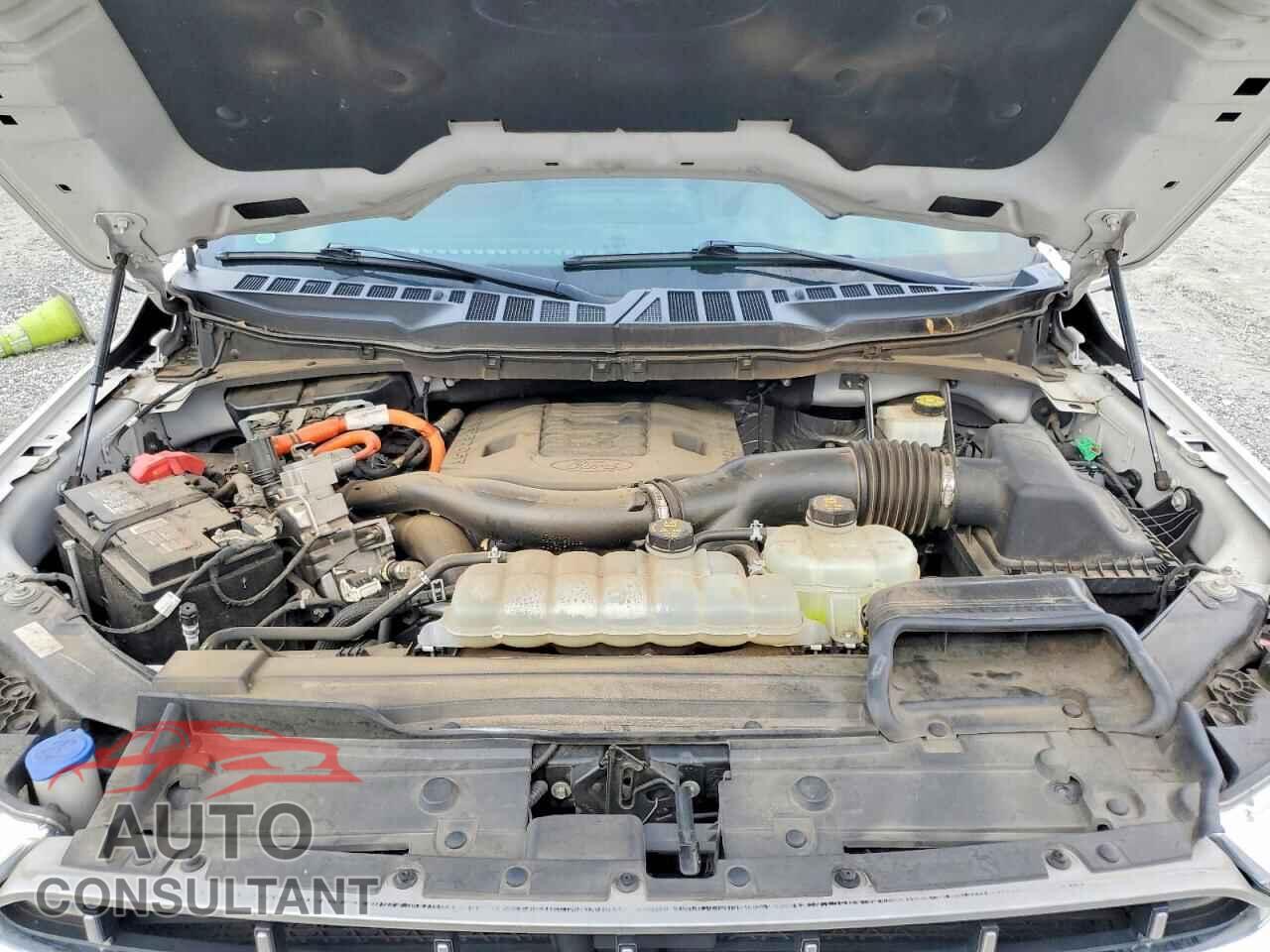FORD F-150 2021 - 1FTFW1ED9MFC11646