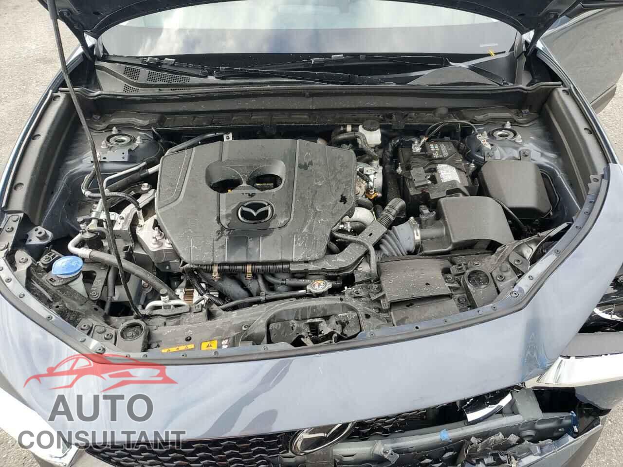 MAZDA CX30 2023 - 3MVDMBCM1PM542942