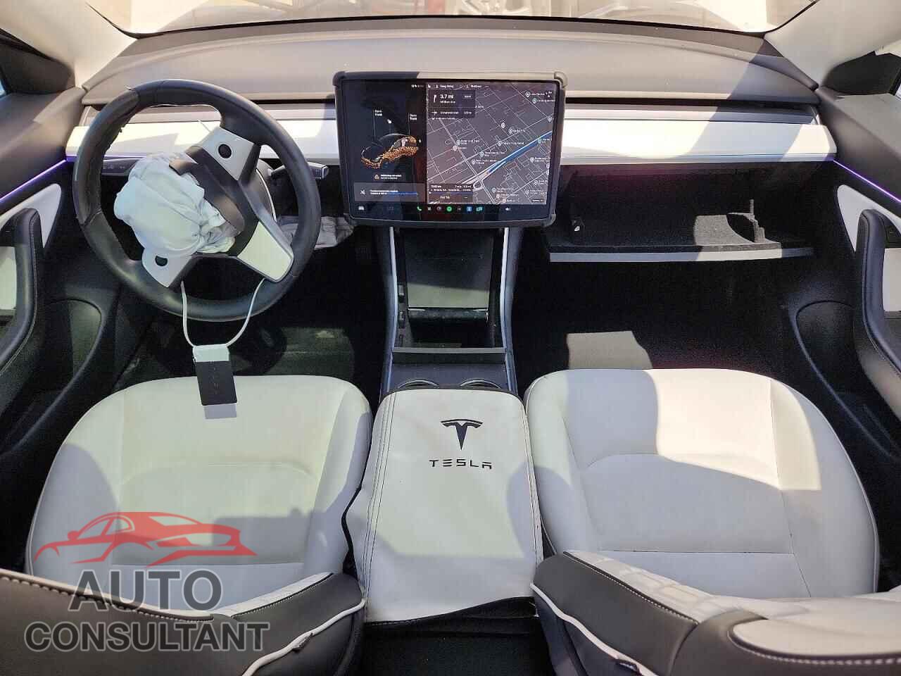 TESLA MODEL 3 2019 - 5YJ3E1EA1KF509296