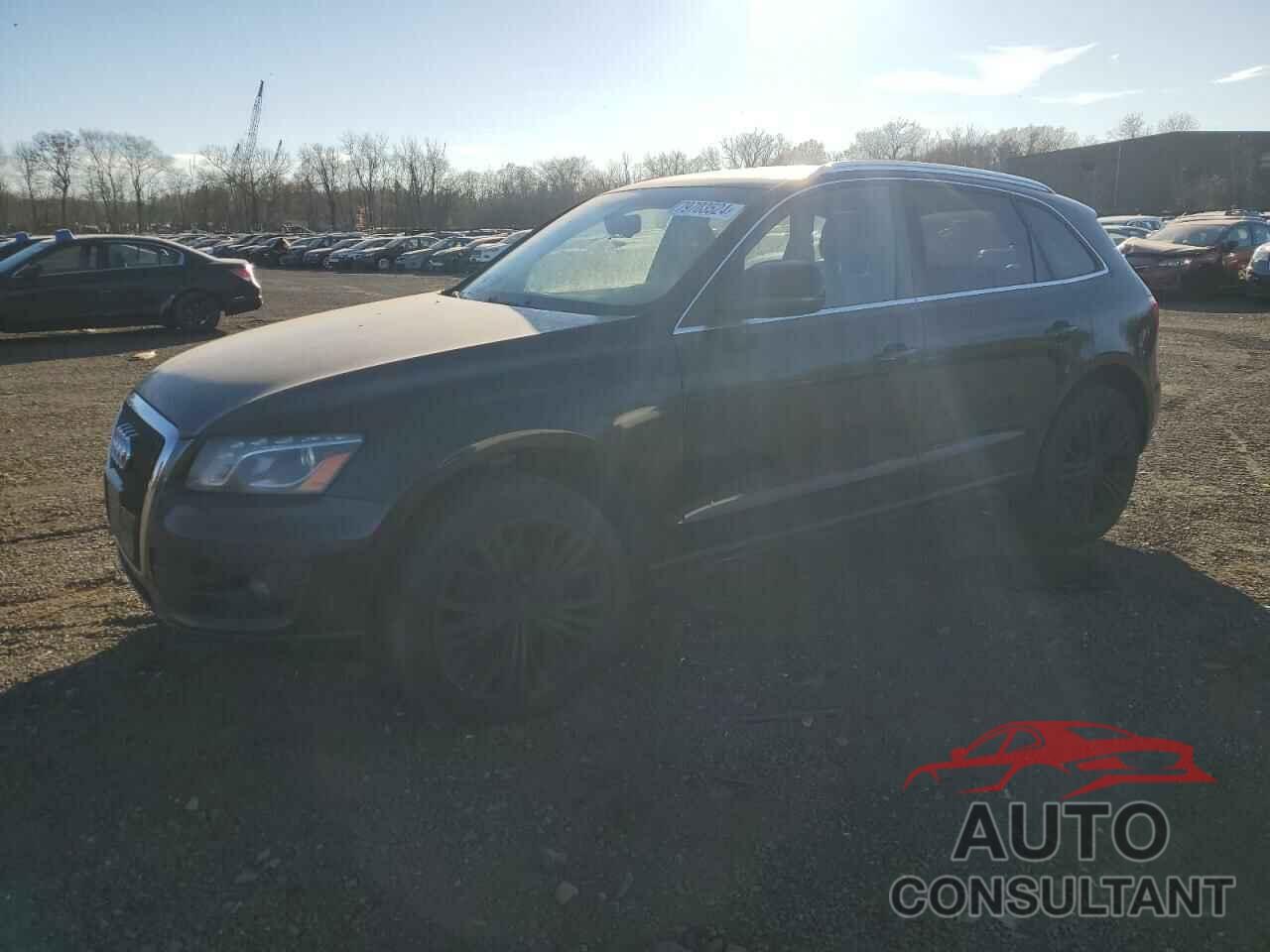 AUDI Q5 2010 - WA1VKAFP7AA084155