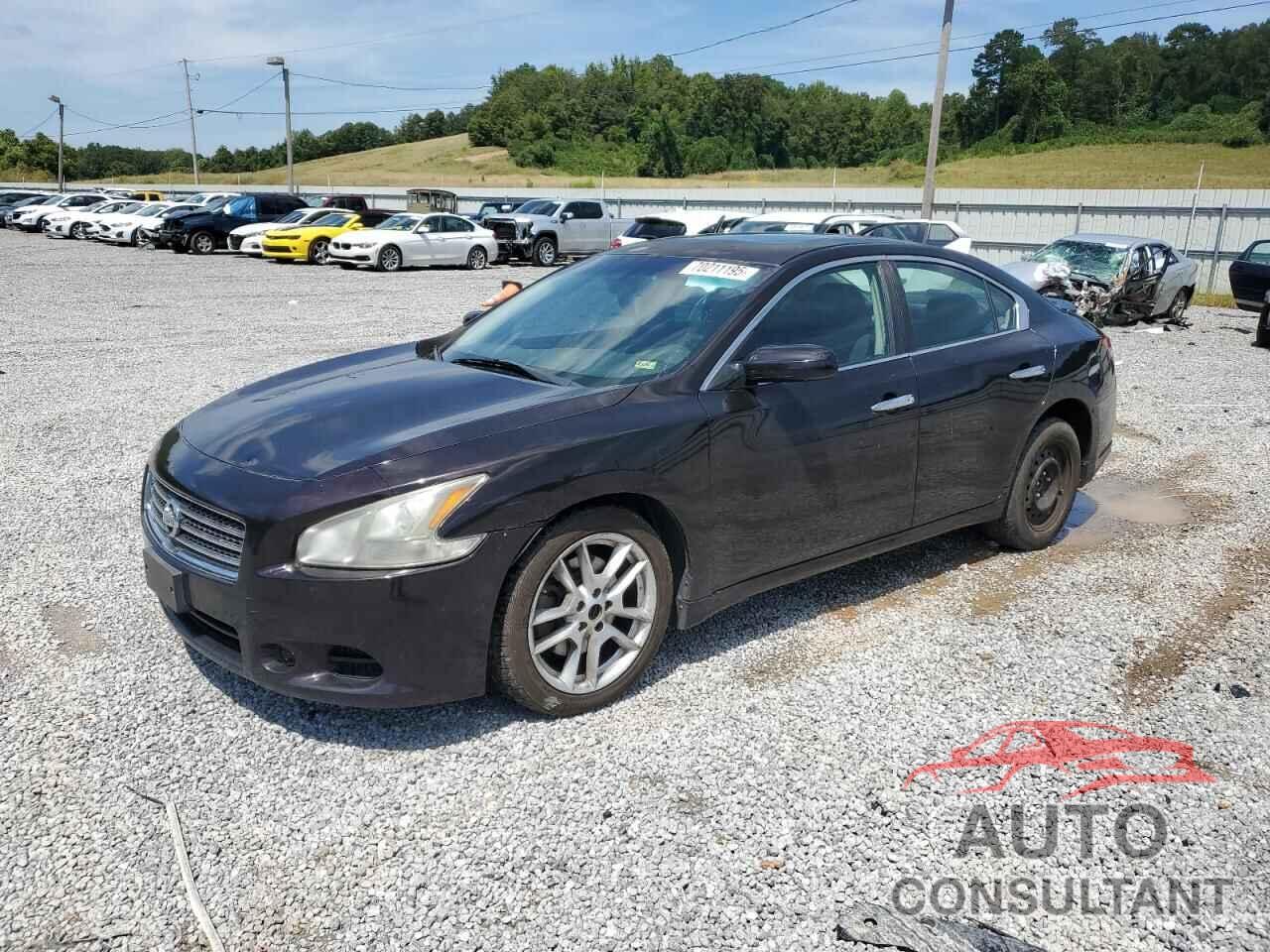 NISSAN MAXIMA 2010 - 1N4AA5AP5AC862694