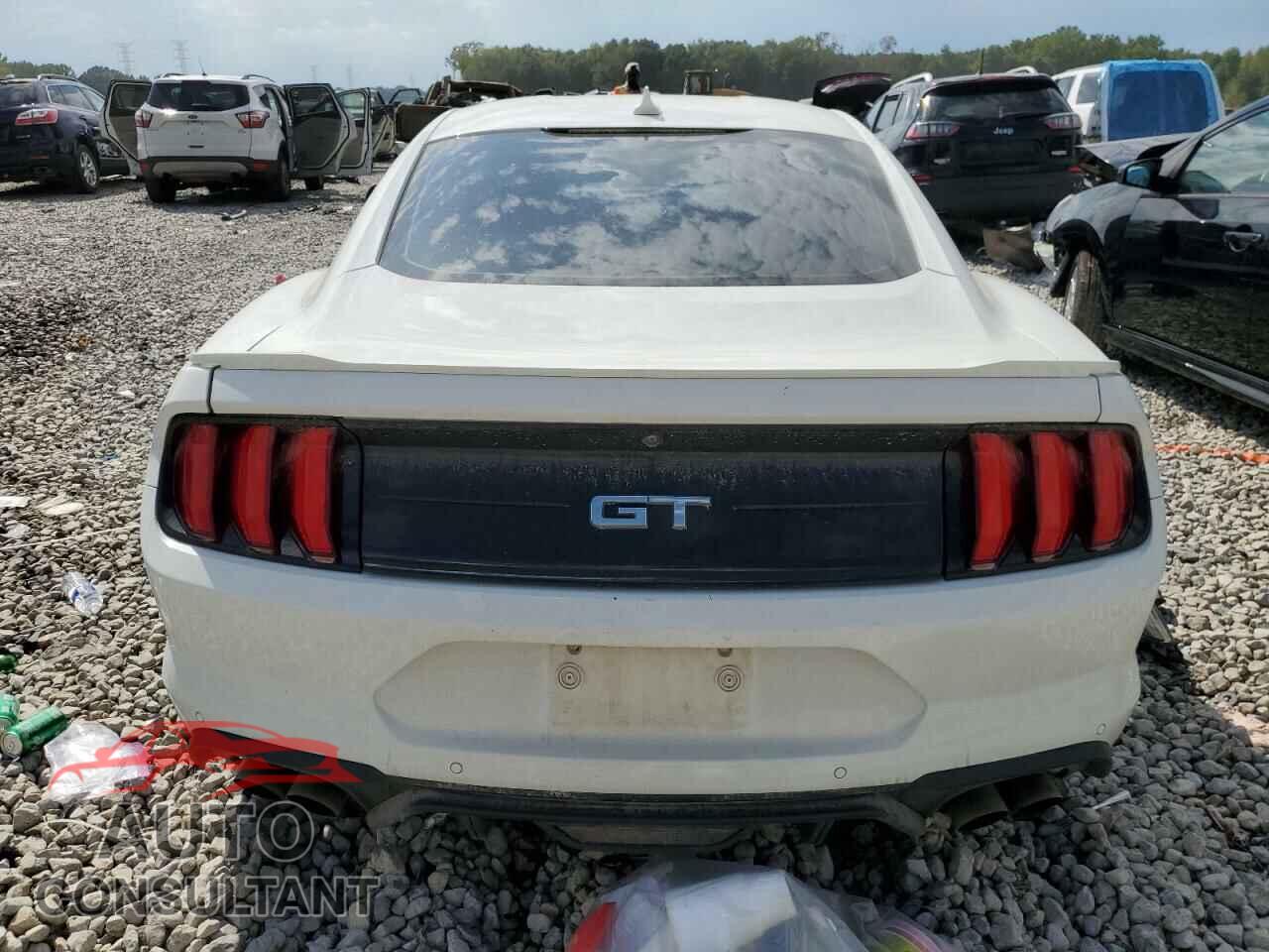 FORD MUSTANG 2020 - 1FA6P8CF5L5142636