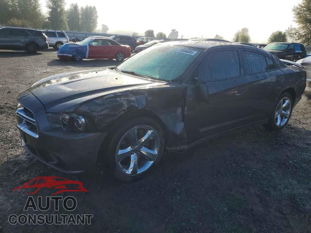DODGE CHARGER 2014 - 2C3CDXCT6EH104595