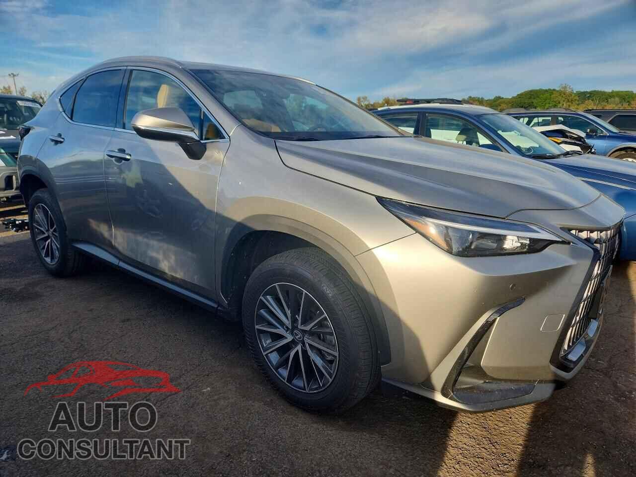 LEXUS NX 2026 - 2T2AGCEZ4TC104487