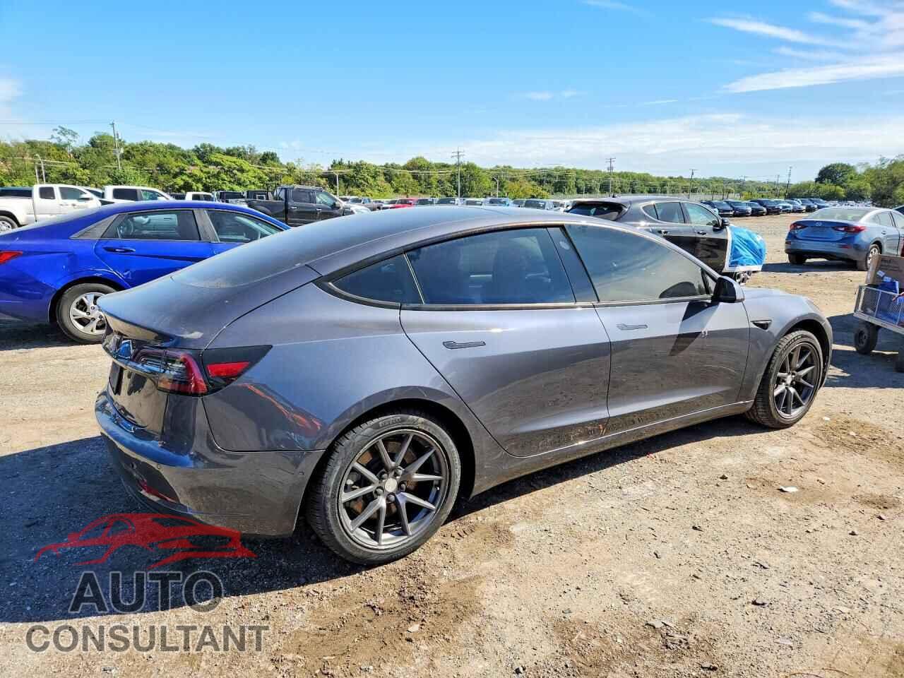 TESLA MODEL 3 2021 - 5YJ3E1EA2MF923271
