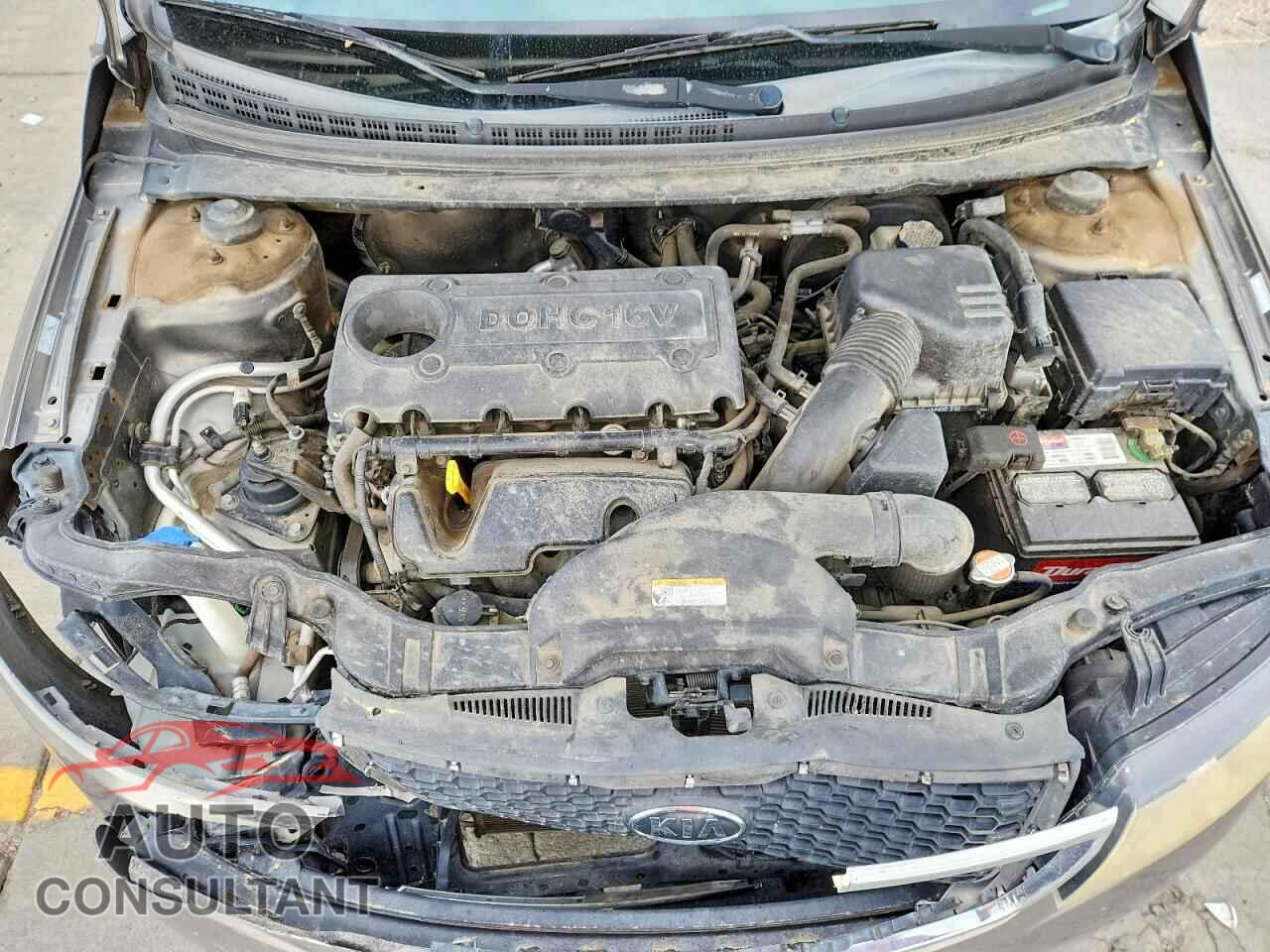 KIA FORTE 2012 - KNAFU4A2XC5632725